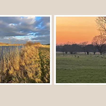103 Tiny House Elboase Mit Wiesenblick * Bleckede